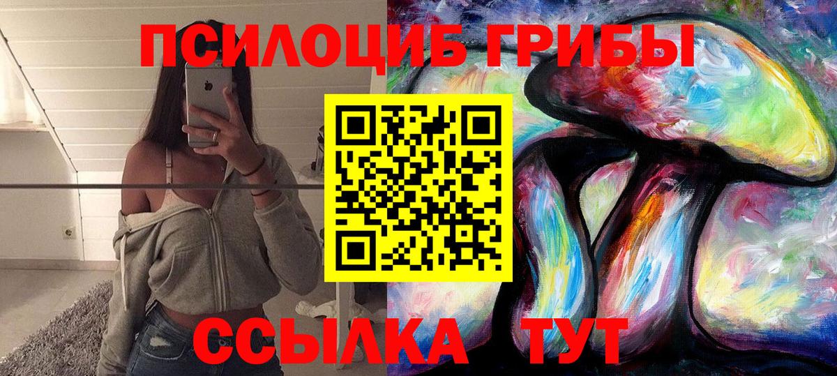 Галлюциногенные грибы Cubensis  Вход с VPN  Клинцы 